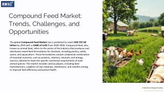 Compound Feed Market