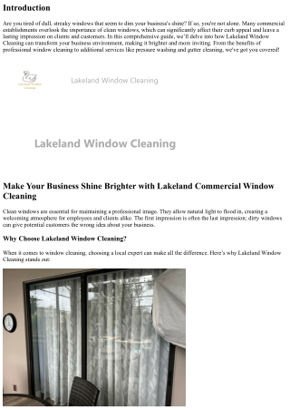 Make Your Business Shine Brighter with Lakeland Commercial Window Cleaning