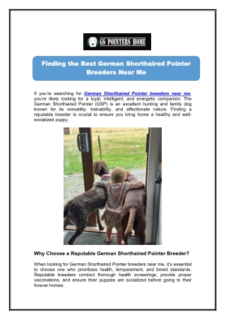 Buy German Shorthaired Pointer Puppies - GS Pointers Home