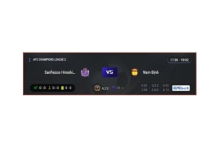Trực tiếp Sanfrecce Hiroshima vs Nam Định 17:00, ngày 19/02/2025