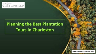 Planning the Best Plantation Tours in Charleston