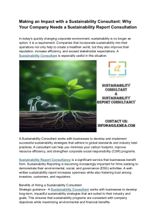 Sustainability Consultant: Company Needs a Sustainability Report Consultation