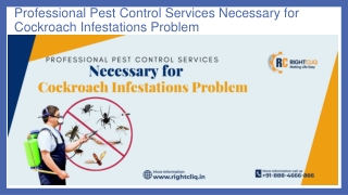 Professional Pest Control Services Necessary for Cockroach Infestations Problem