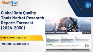 Global Data Quality Tools Market Research Report: Forecast (2024-2030)