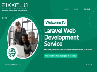 Laravel Web Development Services - Pixxelu