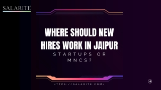 Startups vs. MNCs: Where Should Freshers Work in Jaipur?