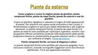 Piante da esterno