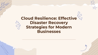 ppt 28