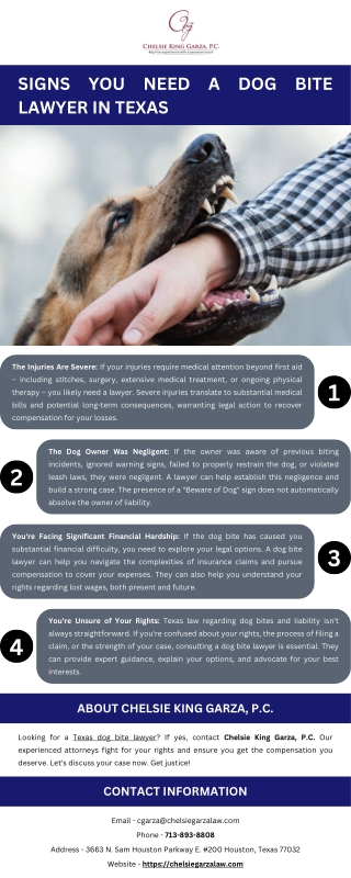 Signs You Need a Dog Bite Lawyer in Texas