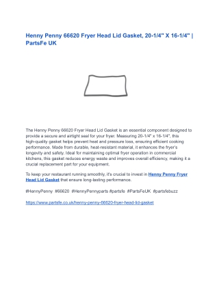 Henny Penny 66620 Fryer Head Lid Gasket, 20-1_4_ X 16-1_4_ _ PartsFe UK