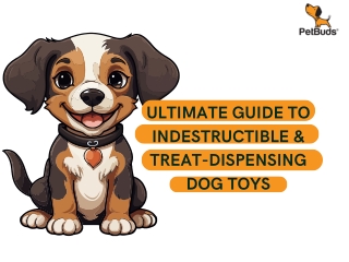 Ultimate Guide to Indestructible & Treat-Dispensing Dog Toys