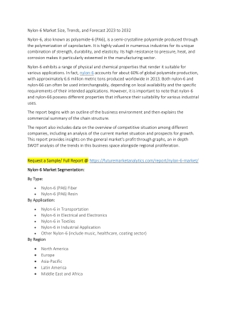 Latest Innovations & Developments in the Nylon-6 Market