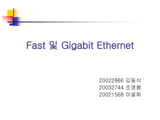 Fast 및 Gigabit Ethernet