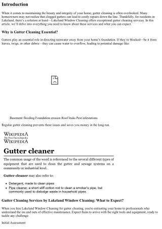 Gutter Cleaning Services by Lakeland Window Cleaning: What to Expect?