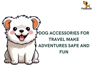 Dog Accessories for Travel Make Adventures Safe and Fun