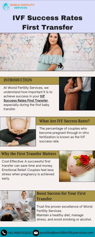 IVF Success Rates First Transfer