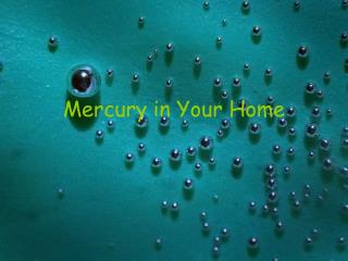 Mercury in Your Home