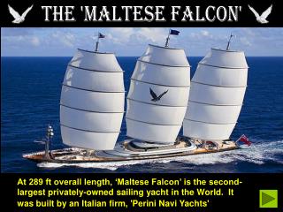 THE 'MALTESE FALCON'