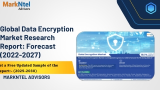Data Encryption Market Share, Size and Future Projections 2023-28FY