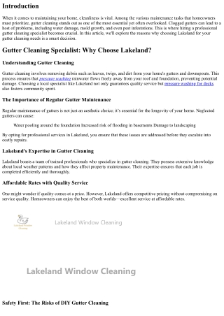 “Gutter Cleaning Specialist: Why Choose Lakeland?”