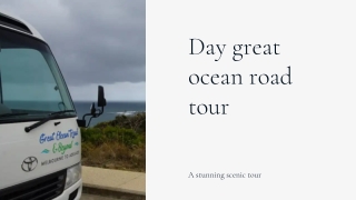 Day great ocean road tour-