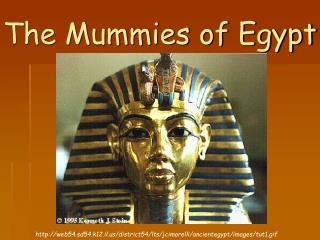 The Mummies of Egypt