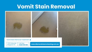 Vomit Stain Removal Tips and Treatments for a Clean, Fresh Home