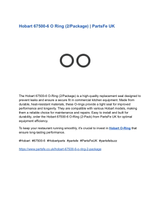 Hobart 67500-6 O Ring (2_Package) _ PartsFe UK