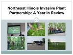 Northeast Illinois Invasive Plant Partnership: A Year in Review