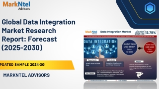 Global Data Integration Market Research Report: Forecast (2025-2030)