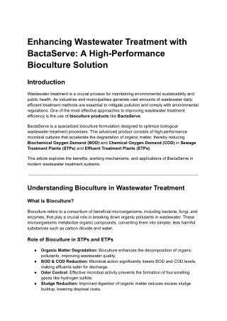 Enhancing Wastewater Treatment with BactaServe