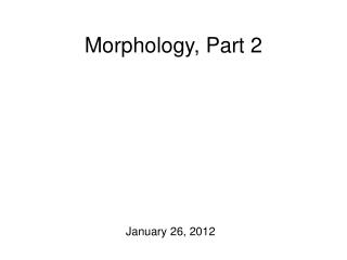 Morphology, Part 2