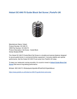 Hobart SC-046-70 Guide Block Set Screw _ PartsFe UK