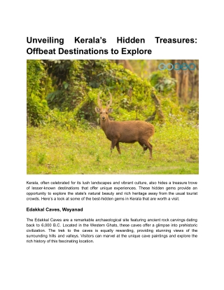 Unveiling Kerala’s Hidden Treasures_ Offbeat Destinations to Explore