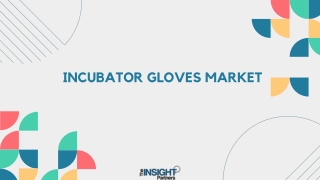 Incubator Gloves Market Overview - 2031