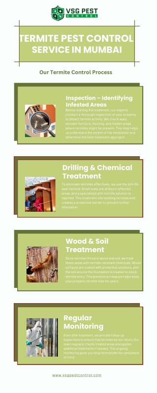 Early Signs of a Termite Infestation at Home
