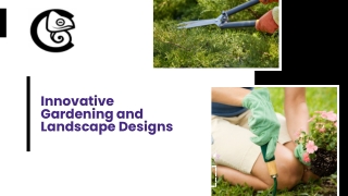 Innovative Gardening and Landscape Designs