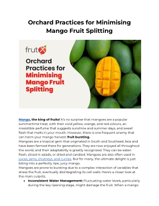 Orchard Practices for Minimising Mango Fruit Splitting