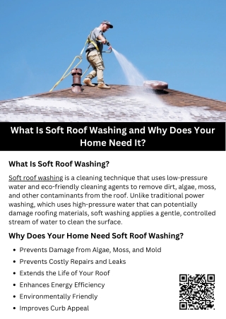 What Is Soft Roof Washing and Why Does Your Home Need It?