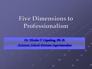 Five Dimensions to Professionalism