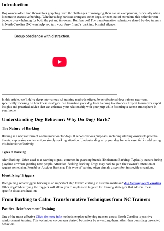 From Barking to Calm: Transformative Techniques from NC Trainers