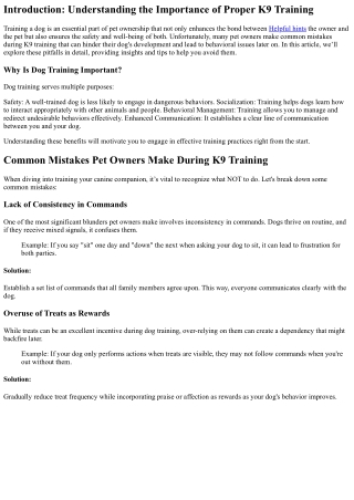 Common Mistakes Pet Owners Make During K9 Training