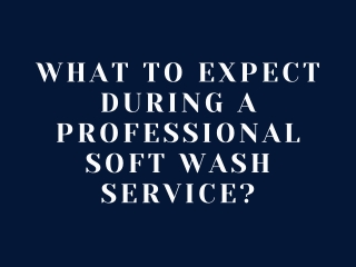 What to Expect During a Professional Soft Wash Service?