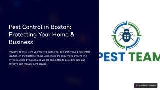 Expert Pest Control in Boston – Safe & Effective Solutions by PestTeam