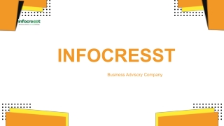 Professional Business Plan & Financial Modeling Services | Infocresst