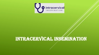 Intracervical Insemination Kit