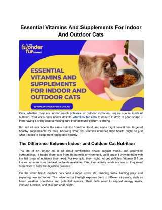Essential Vitamins And Supplements For Indoor And Outdoor Cats