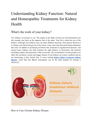 Understanding Kidney Function Natural and Homeopathic Treatments for Kidney Health