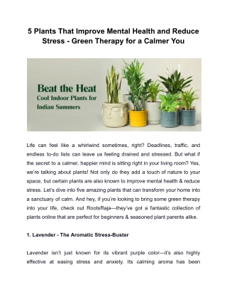 5 Plants That Improve Mental Health and Reduce Stress - Green Therapy for a Calm