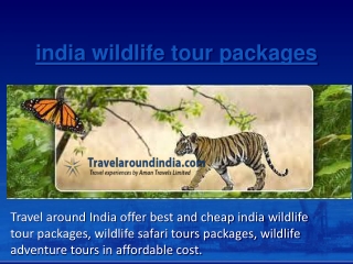 india wildlife tour packages
